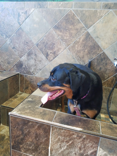 Pet Store «Pet Valu», reviews and photos, 1570 Egypt Rd, Phoenixville, PA 19460, USA