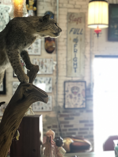 Tattoo Shop «Ironclad Tattoo Gallery», reviews and photos, 194 N 2nd Ave, Saltillo, MS 38866, USA