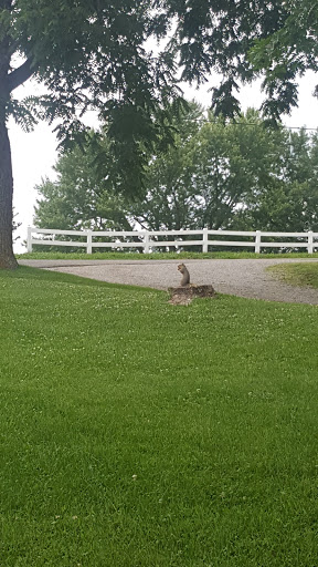 Golf Club «Valley View Golf Club», reviews and photos, 1511 George Rd NE, Lancaster, OH 43130, USA