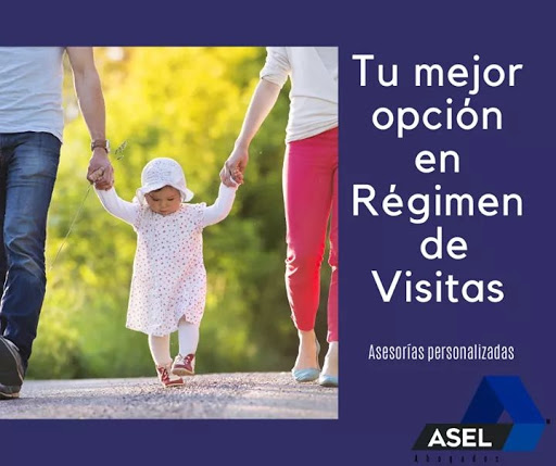 ASEL - Legal Advisory and Expert Toluca