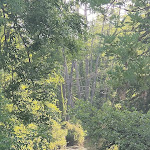 Photo n° 3 de l'avis de Sabine.D fait le 30/05/2023 à 16:03 pour Voie Verte à Saint-Germain-du-Corbeïs