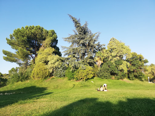 Dehesa de la Villa Park