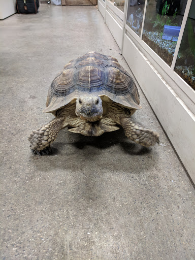 Pet Supply Store «Premier Pet Supply», reviews and photos, 31215 Southfield Rd, Beverly Hills, MI 48025, USA