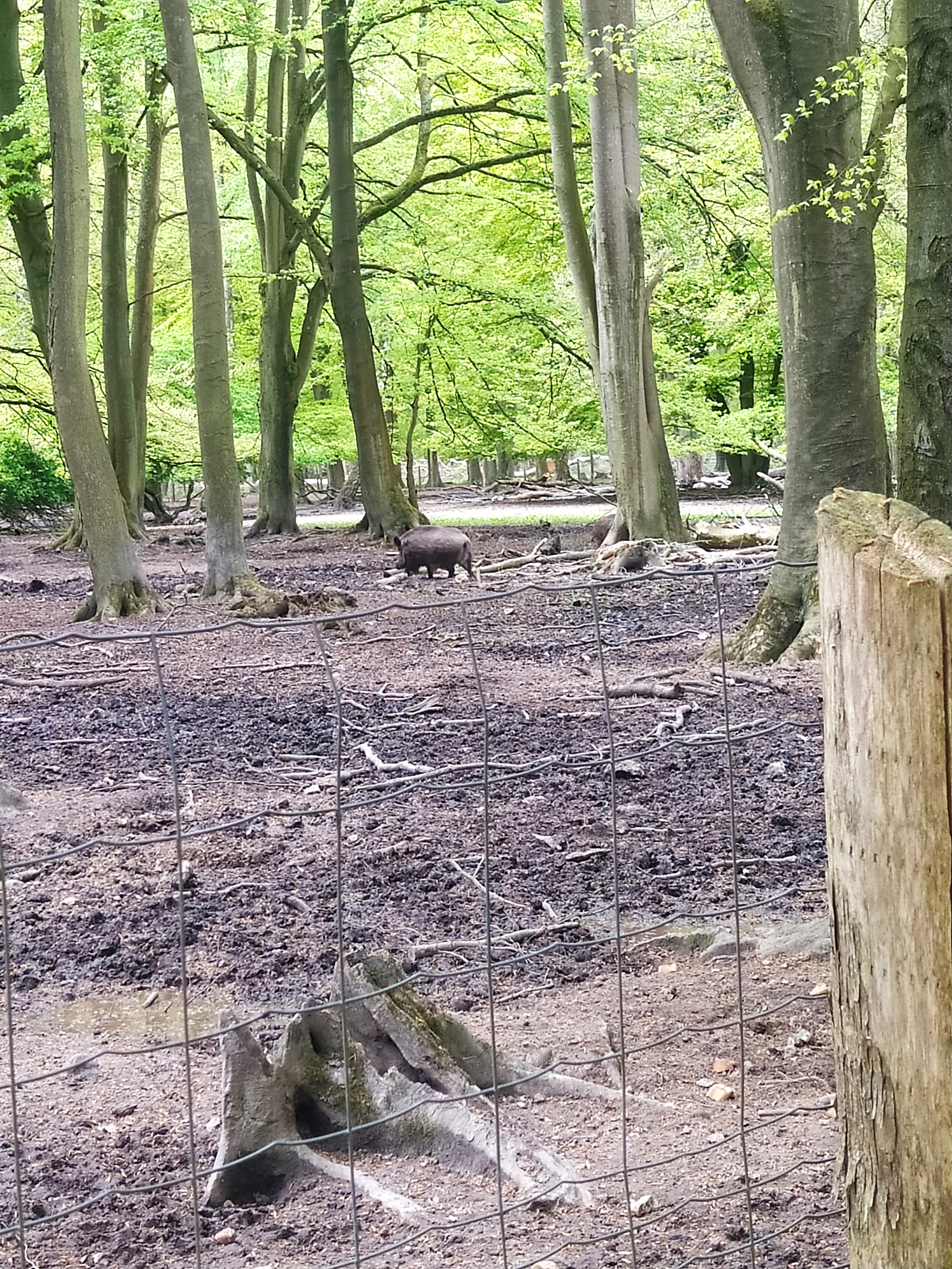 Photo n° 1 de l'avis de Marjorie.o fait le 29/05/2023 à 09:12