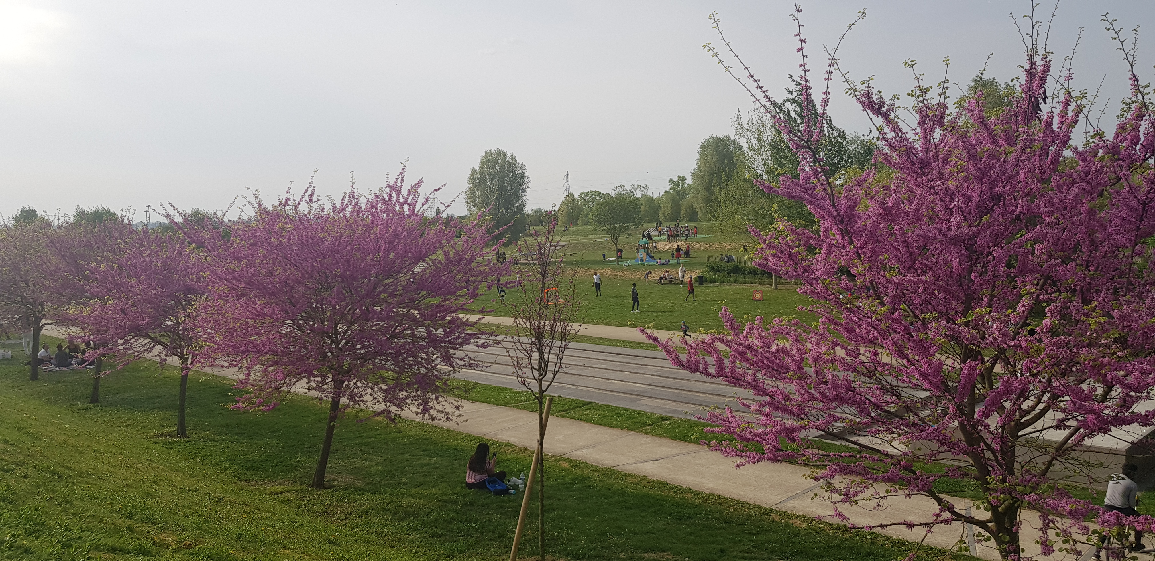 Photo n° 1 de l'avis de Loutfy. fait le 22/04/2019 à 18:07
