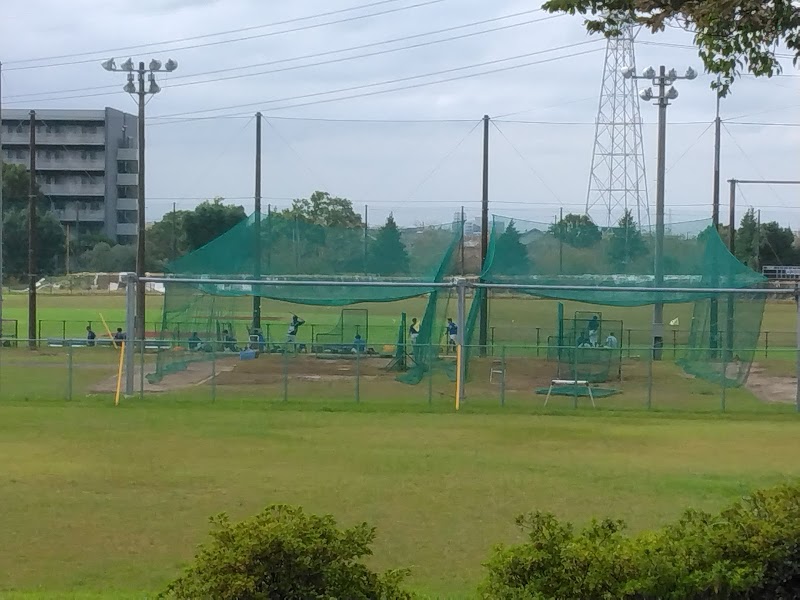 帝京平成大学野球場
