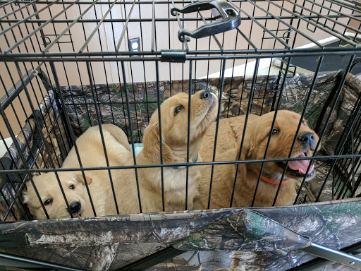 Pearson Animal Hospital