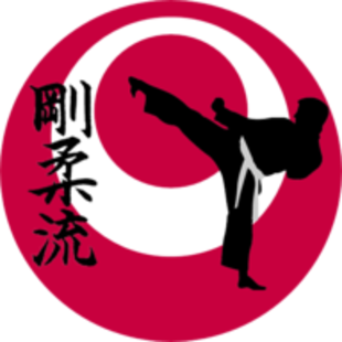 CKG - Centro de Karate-Do Goju-Ryu - Academia