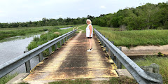 Cattail Marsh Scenic Wetlands & Boardwalk