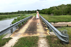 Cattail Marsh Scenic Wetlands & Boardwalk