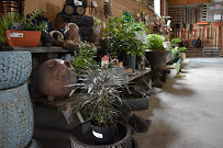 Wapsie Pines Nursery and Greenhouse - Photo 5 - Car repair in Cedar Falls, IA, Waterloo