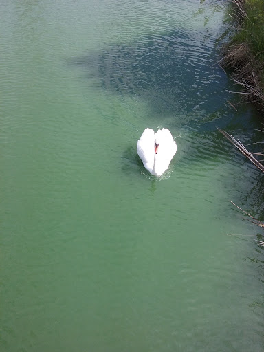 Casino «Grand Casino Hinckley», reviews and photos, 777 Lady Luck Dr, Hinckley, MN 55037, USA