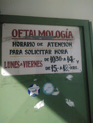 Club de Leónes de Conchali