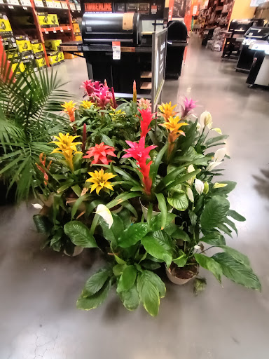 The Home Depot image