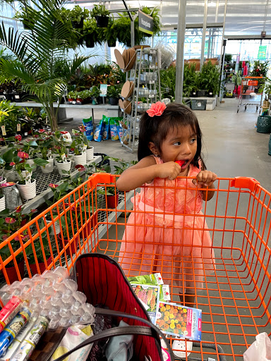 Home Improvement Store «The Home Depot», reviews and photos, 3051 W Radio Dr, Florence, SC 29501, USA