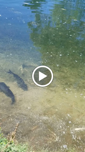 Golf Club «Toka Sticks Golf Club», reviews and photos, 6910 E Williams Field Rd, Mesa, AZ 85212, USA