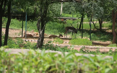 Zoological Park image