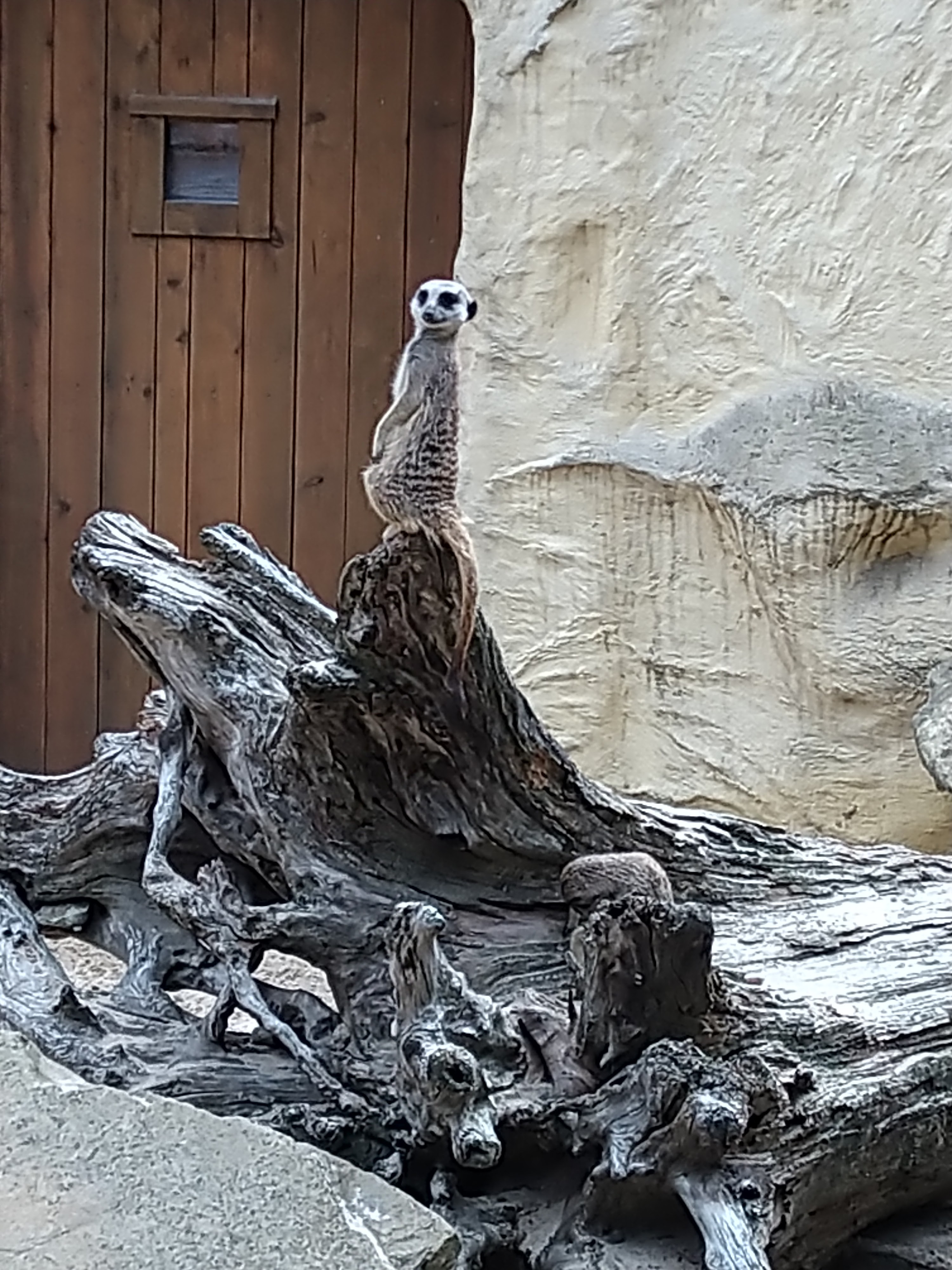 Photo n° 2 de l'avis de HardLoSeDa. fait le 15/08/2019 à 14:36