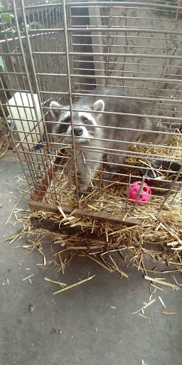 Zoo «Cricket Hollow Zoo», reviews and photos, 1512 210th St, Manchester, IA 52057, USA