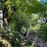 Photo n°6 de l'avis de julian.a fait le 23/08/2023 à 13:30 sur le  Hotel Gassenhof à Ratschings