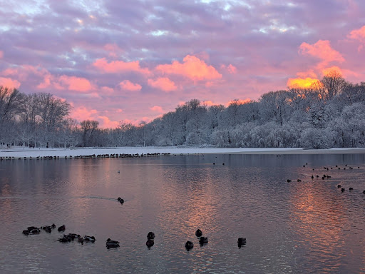 Park «Kissena Park», reviews and photos, 164-15 Booth Memorial Ave, Fresh Meadows, NY 11365, USA