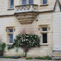 Photo n°40 de Le Clos d'Ussé à Rigny-Ussé ()
