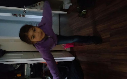 Dance School «GALINA DANCE STUDIO», reviews and photos, 1610 Linden St, Des Plaines, IL 60018, USA