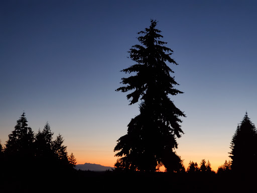 Golf Course «Kayak Point Golf Course», reviews and photos, 15711 Marine Drive NE, Stanwood, WA 98292, USA