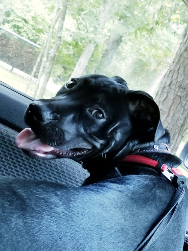 Park «Lake Houston Wilderness Park», reviews and photos, 25840 FM 1485, New Caney, TX 77357, USA