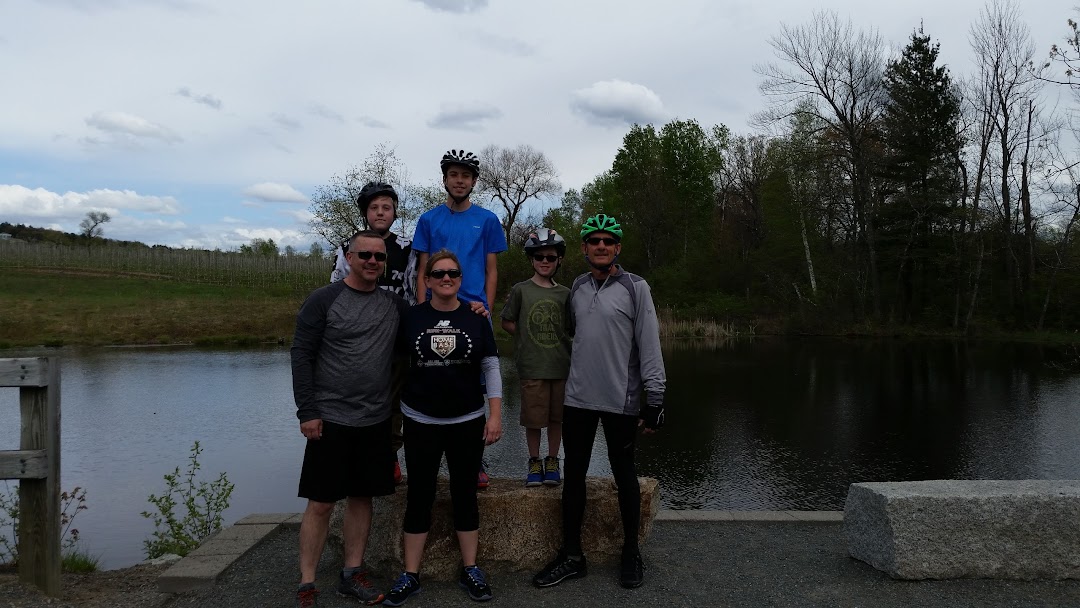 Pamela P Boynton Antiques