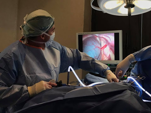 Weston Davis Equine Surgery image