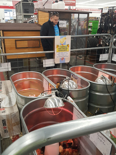 Home Improvement Store «Tractor Supply Co.», reviews and photos, 13500 Benns Church Blvd, Smithfield, VA 23430, USA