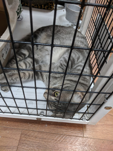 Pet Supply Store «Pet Supermarket», reviews and photos, 11160 Panama City Beach Pkwy #402, Panama City Beach, FL 32407, USA