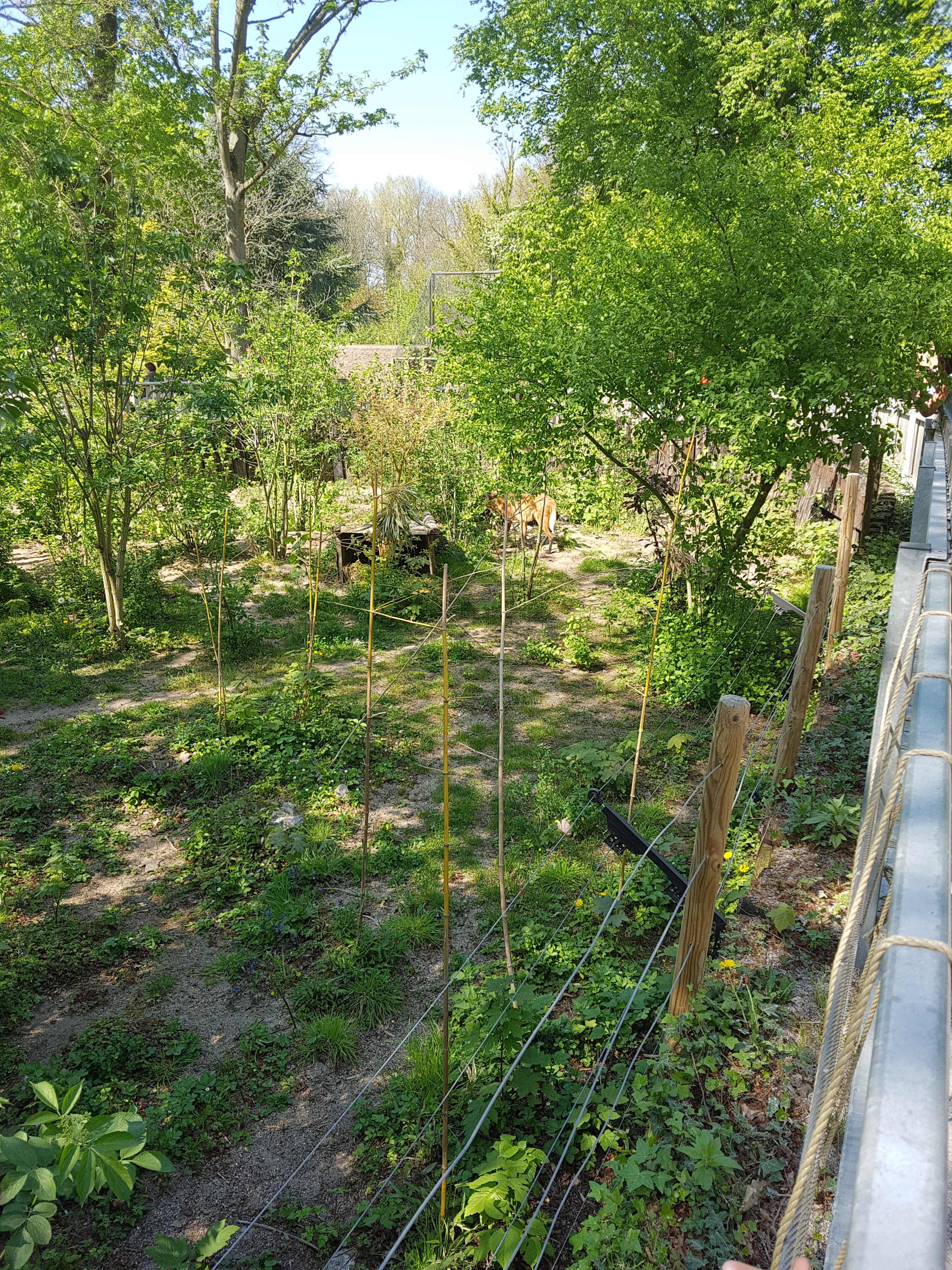 Photo n° 20 de l'avis de Celia.a fait le 30/04/2019 à 08:20