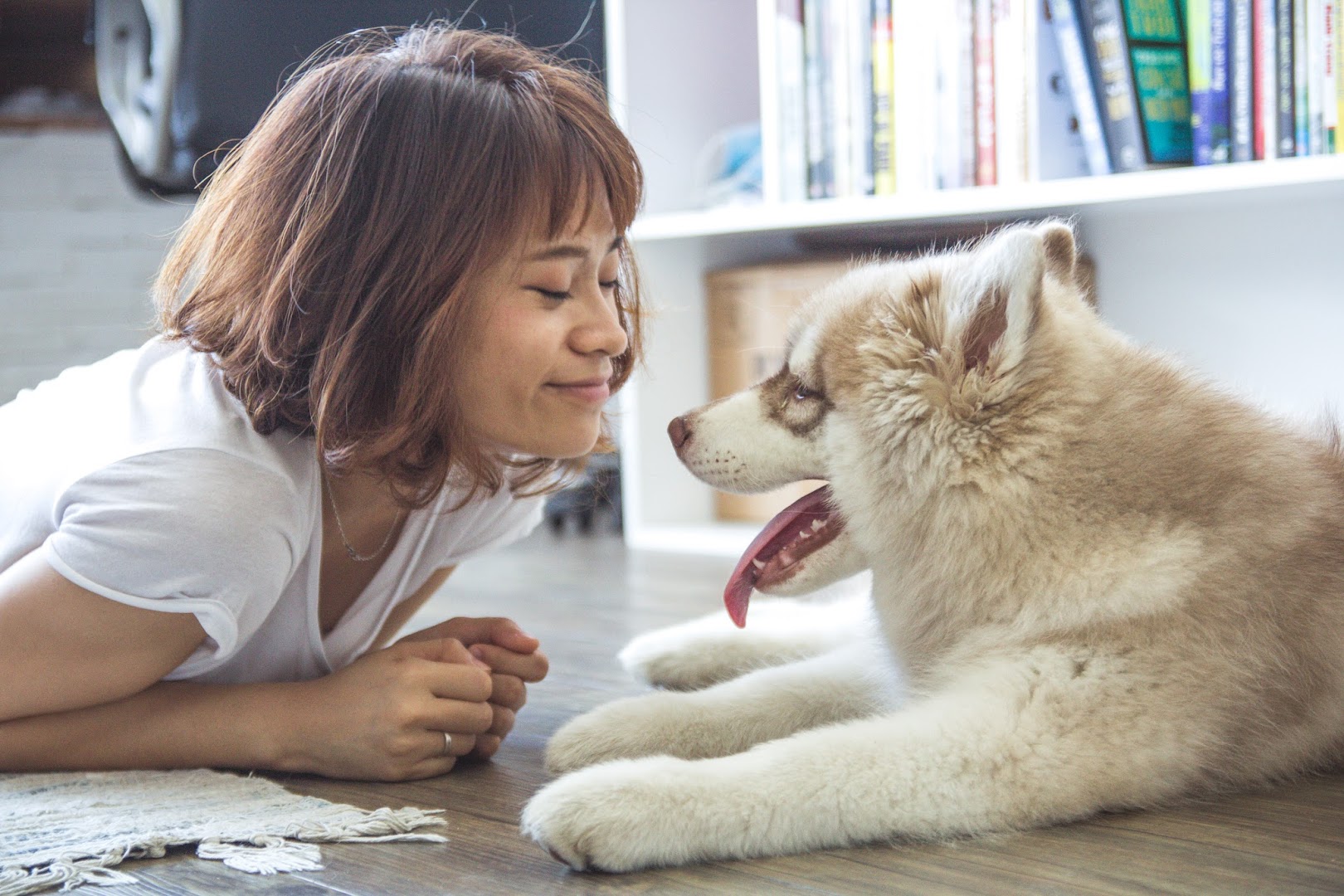 Oyster Creek Animal Hospital