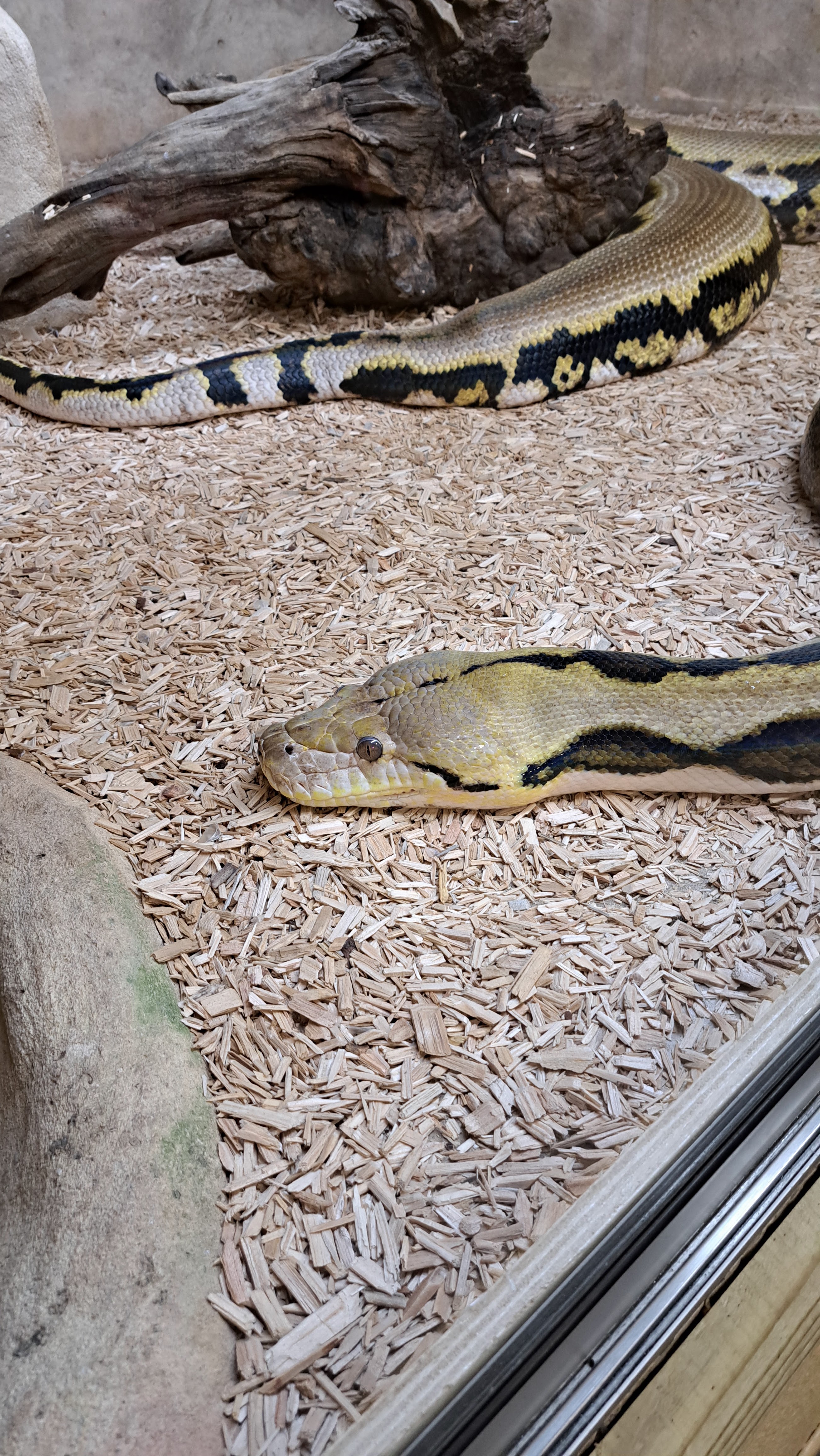 Photo n° 3 de l'avis de gijsbert. fait le 15/08/2023 à 14:08