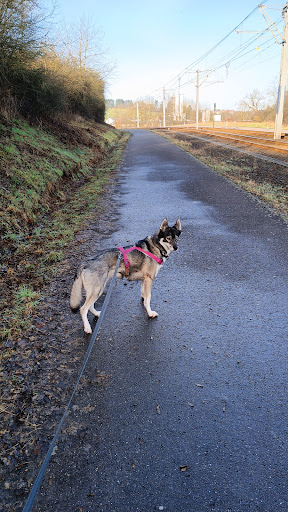 Dr.med.vet. Leszek Meller unter Riegelsberg, Saarland