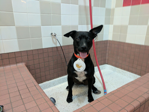 Pet Supply Store «Pet Food Express», reviews and photos, 320 S Lake Ave, Pasadena, CA 91101, USA