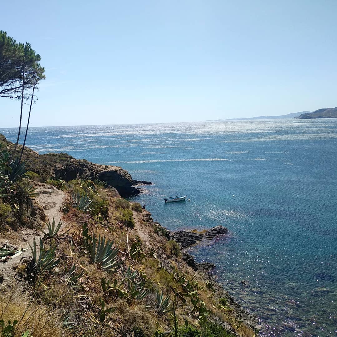 Photo n° 5 de l'avis de TARRAJAT.e fait le 29/07/2019 à 15:33