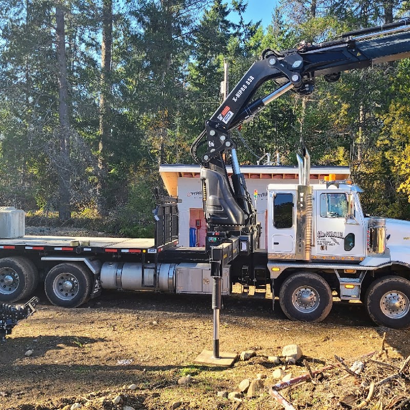 49th parallel cranes