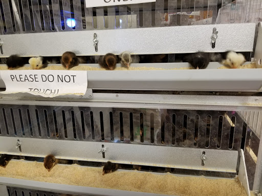 Pet Supply Store «O K Feed & Supply», reviews and photos, 3701 E Fort Lowell Rd, Tucson, AZ 85716, USA