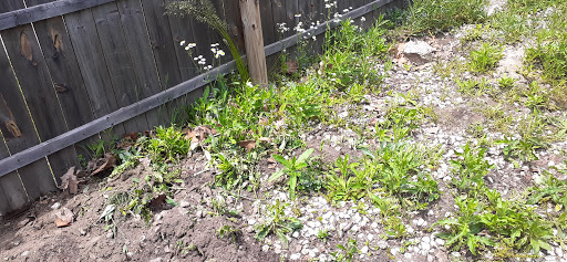 Bowling Alley «Merri-Bowl Lanes», reviews and photos, 30950 Five Mile Road, Livonia, MI 48154, USA