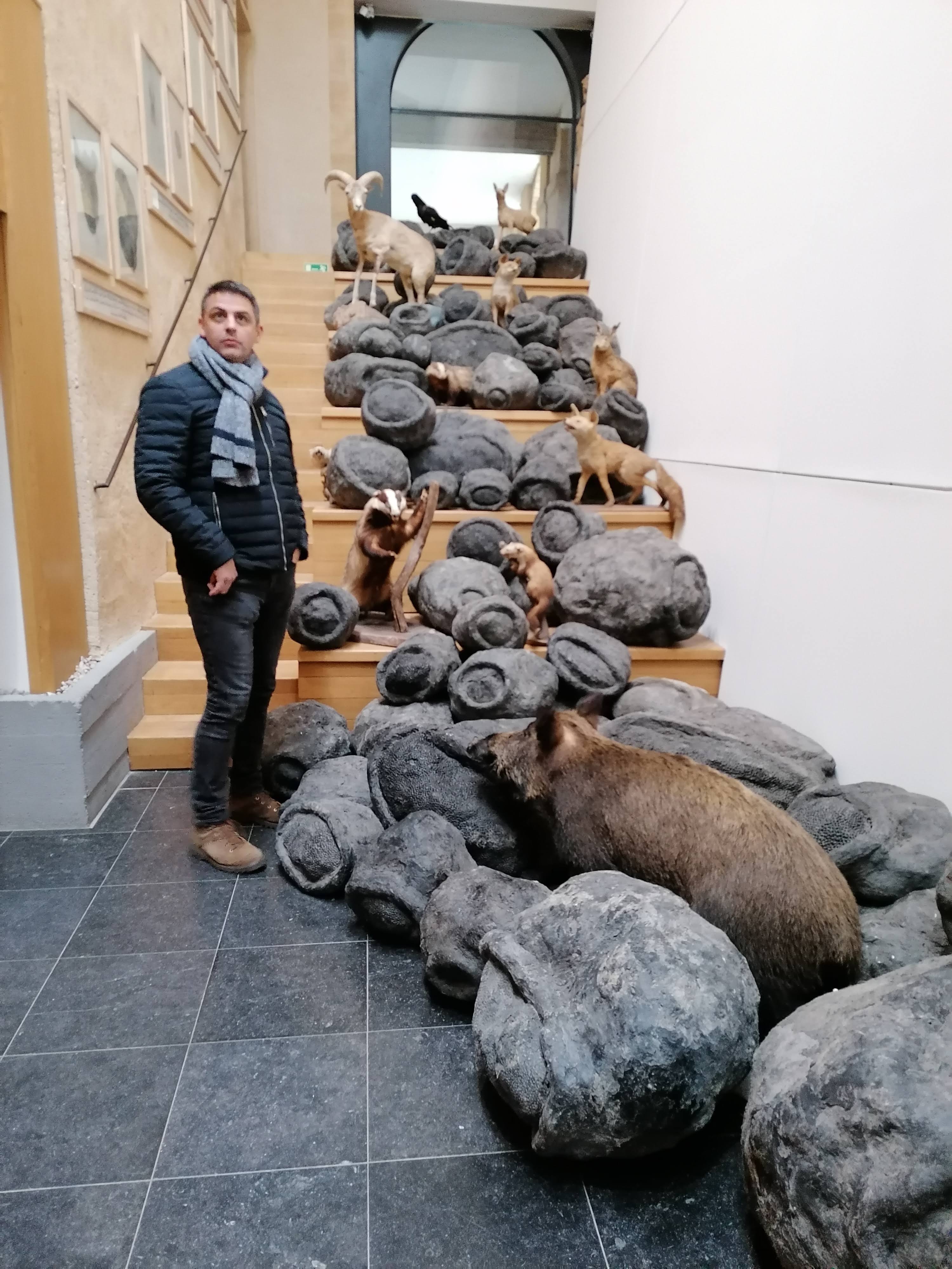 Photo n° 1 de l'avis de Glad. fait le 23/11/2019 à 19:36