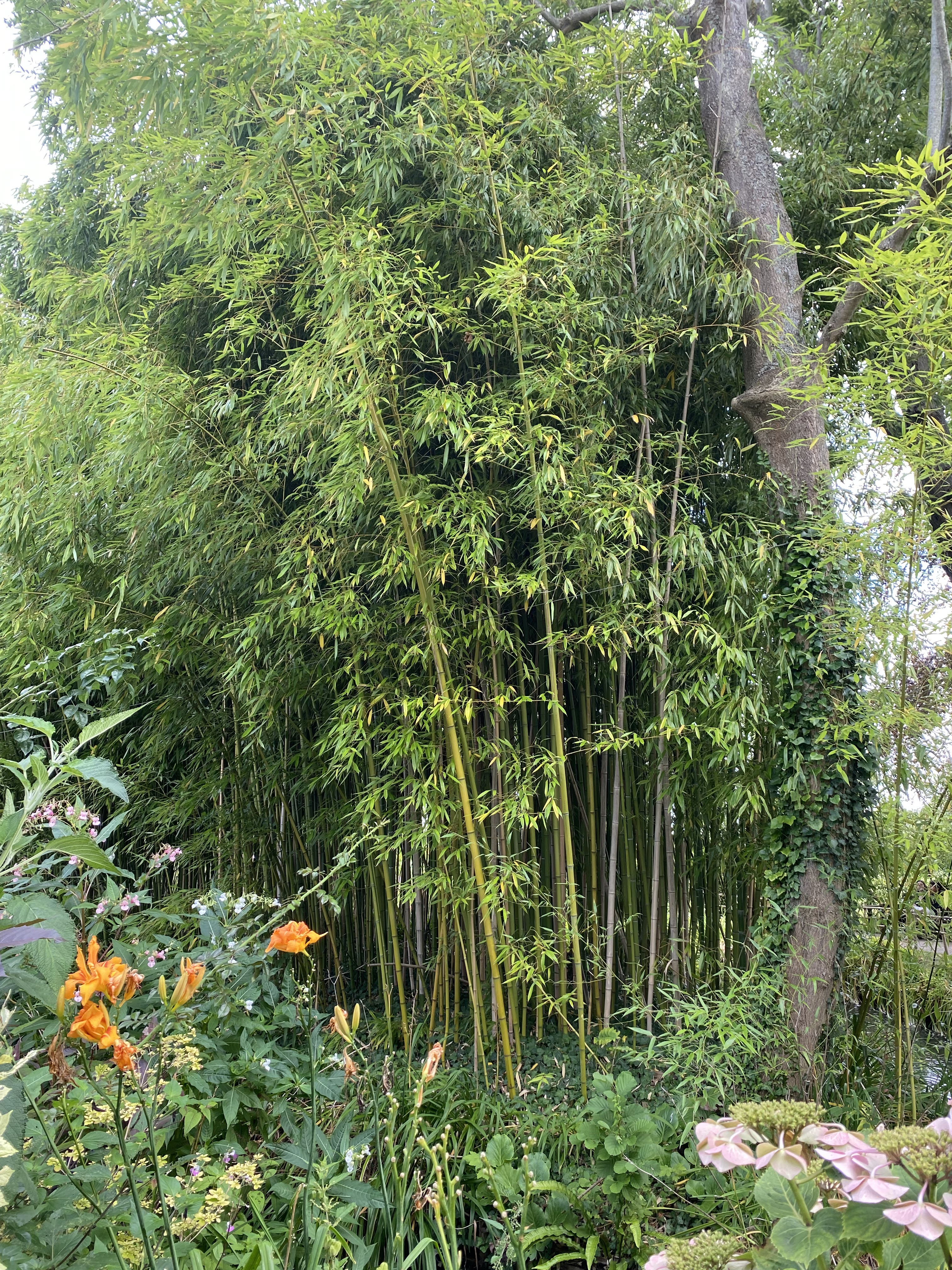 Photo n° 1 de l'avis de Bryan.o fait le 13/08/2023 à 15:04