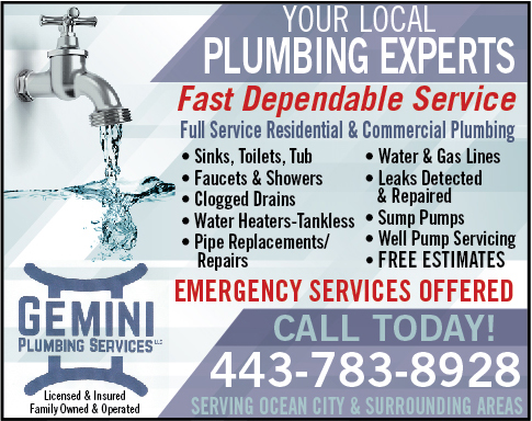 Gemini Plumbing Services, LLC in Bishopville, Maryland