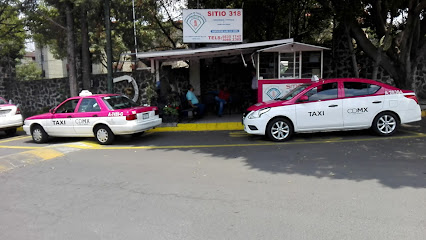 Sitio De Taxis 318 Lic. Emilio Portes Gil A.C.