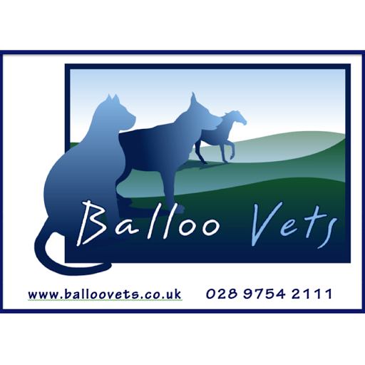 Balloo Vets