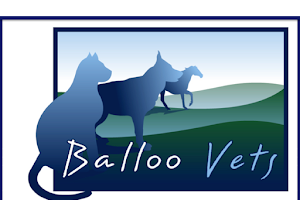 Balloo Vets