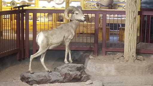 Tourist Attraction «Arizona Museum of Natural History», reviews and photos, 53 N Macdonald, Mesa, AZ 85201, USA