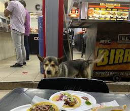 Taquería el Trailero photo